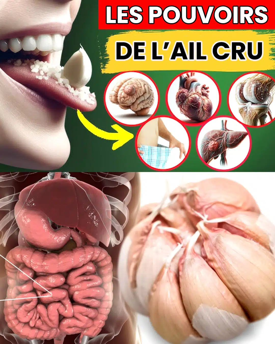 Ail cru : le petit super-aliment aux grands bienfaits pour la santé