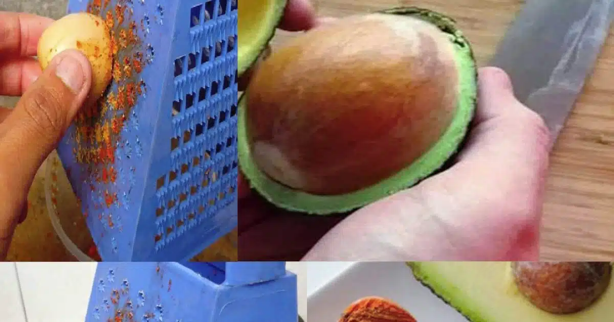 Après avoir découvert cette astuce, vous ne jetterez plus jamais un noyau d’avocat
