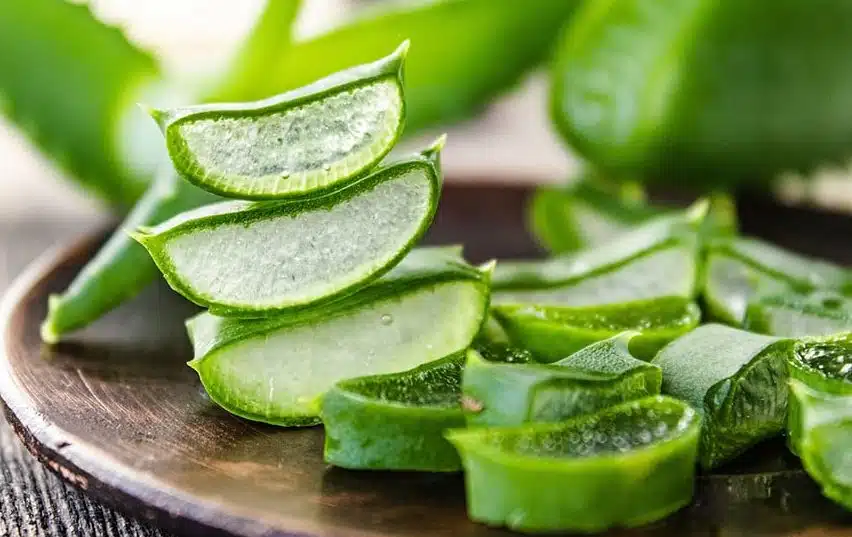 Bienfaits aloe vera