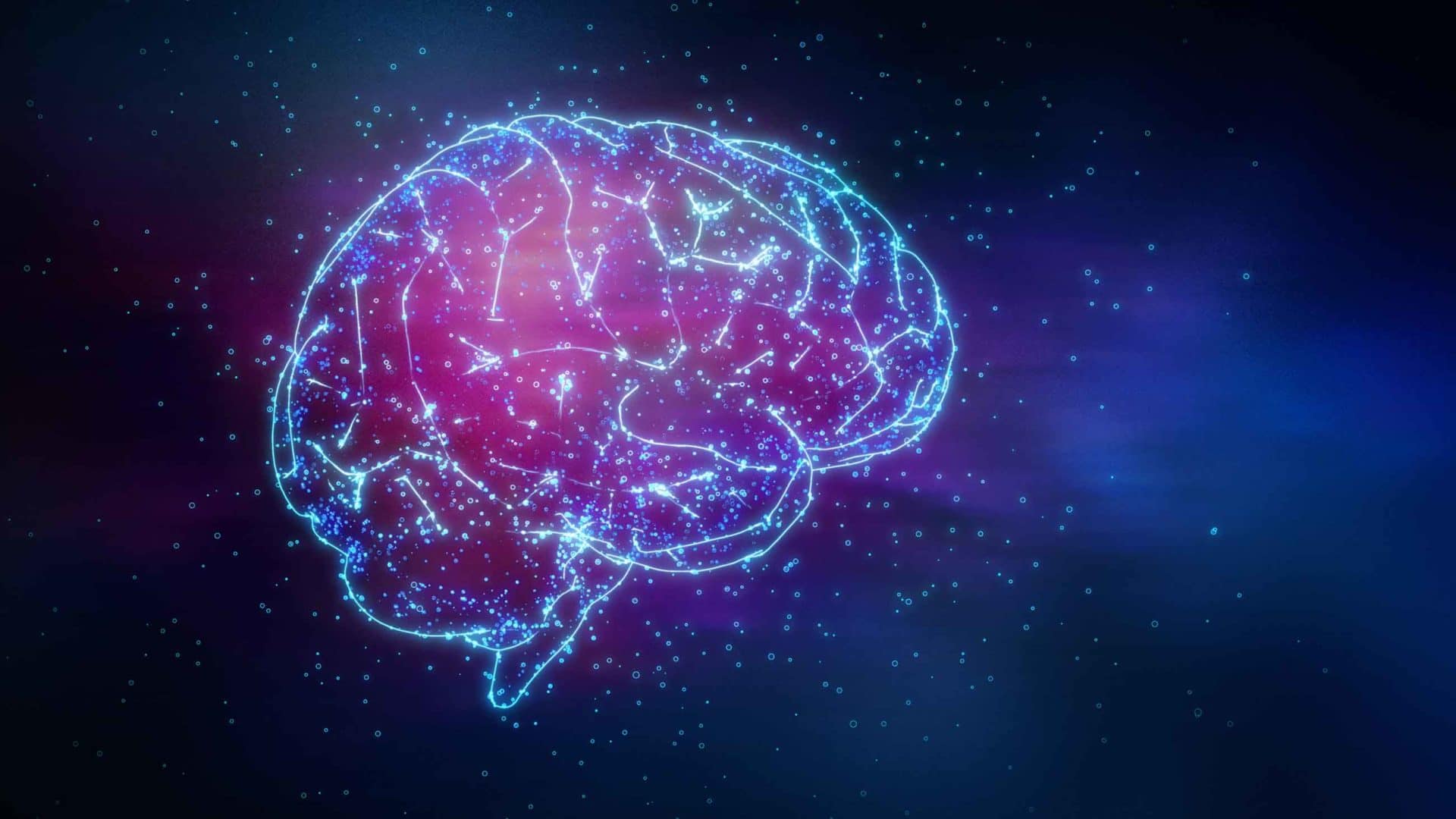 Illustration stylisée d'un cerveau humain pour symboliser la réflexion