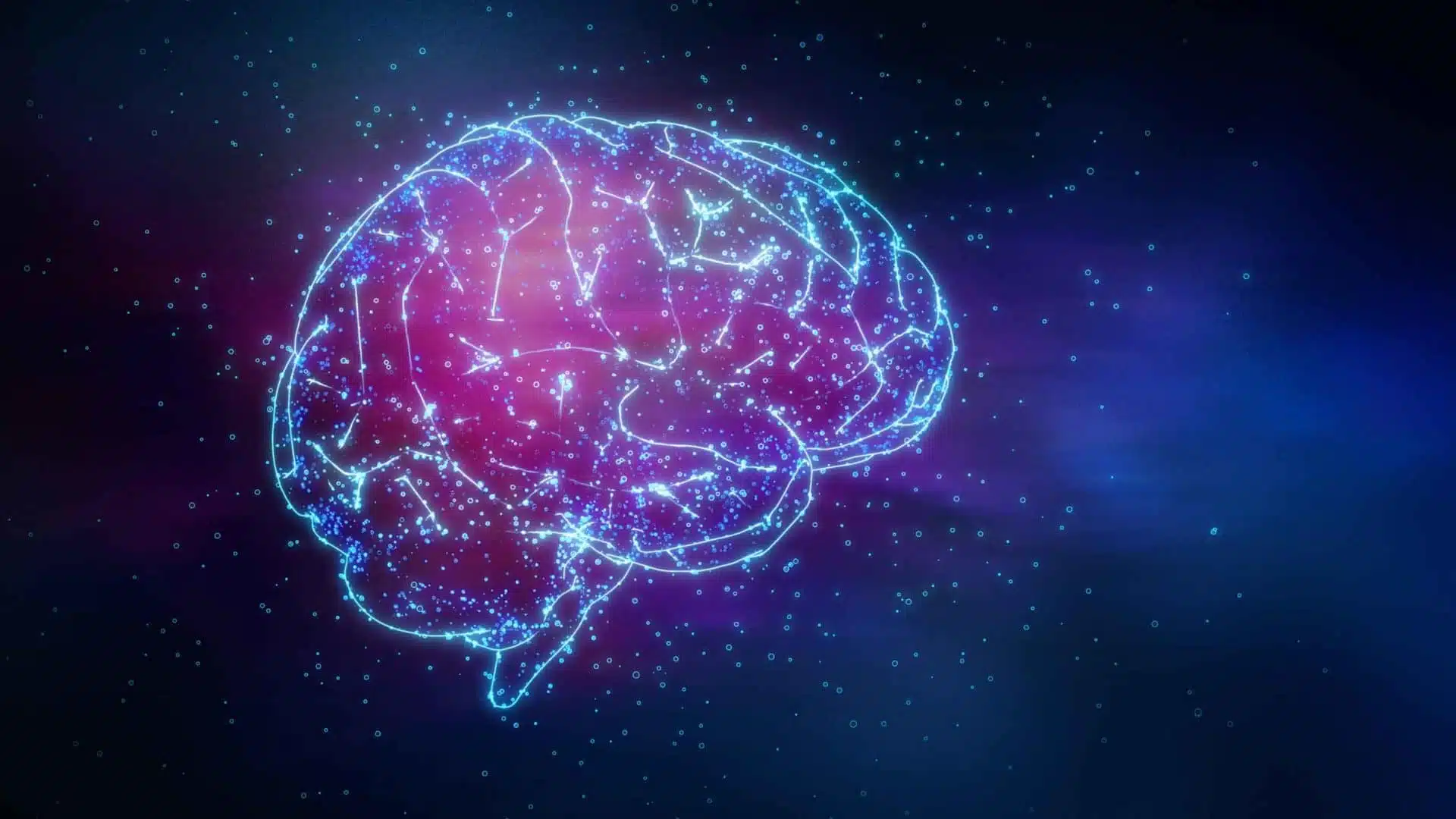 Illustration stylisée d'un cerveau humain pour symboliser la réflexion