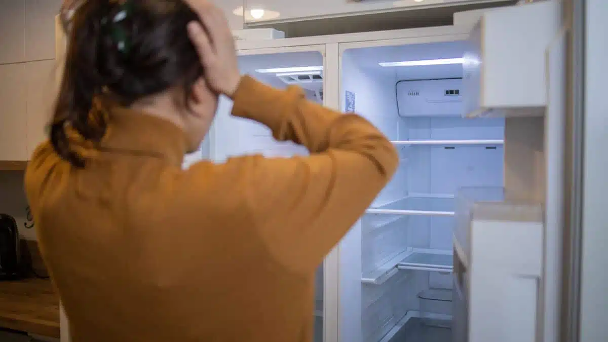 Détail de la porte et du joint d'un congélateur