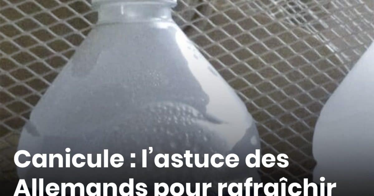 Canicule : l’astuce des Allemands pour rafraîchir leur maison sans climatisation