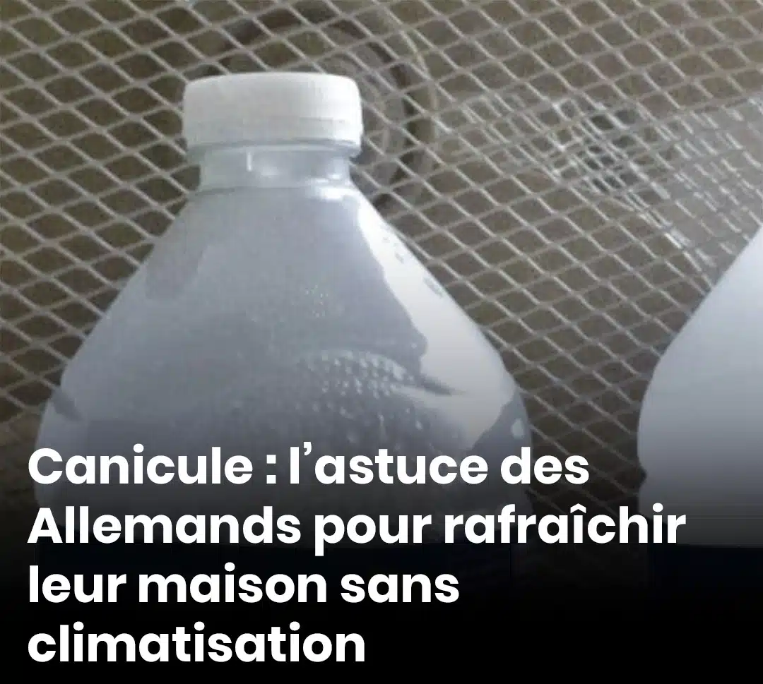 Canicule : l’astuce des Allemands pour rafraîchir leur maison sans climatisation