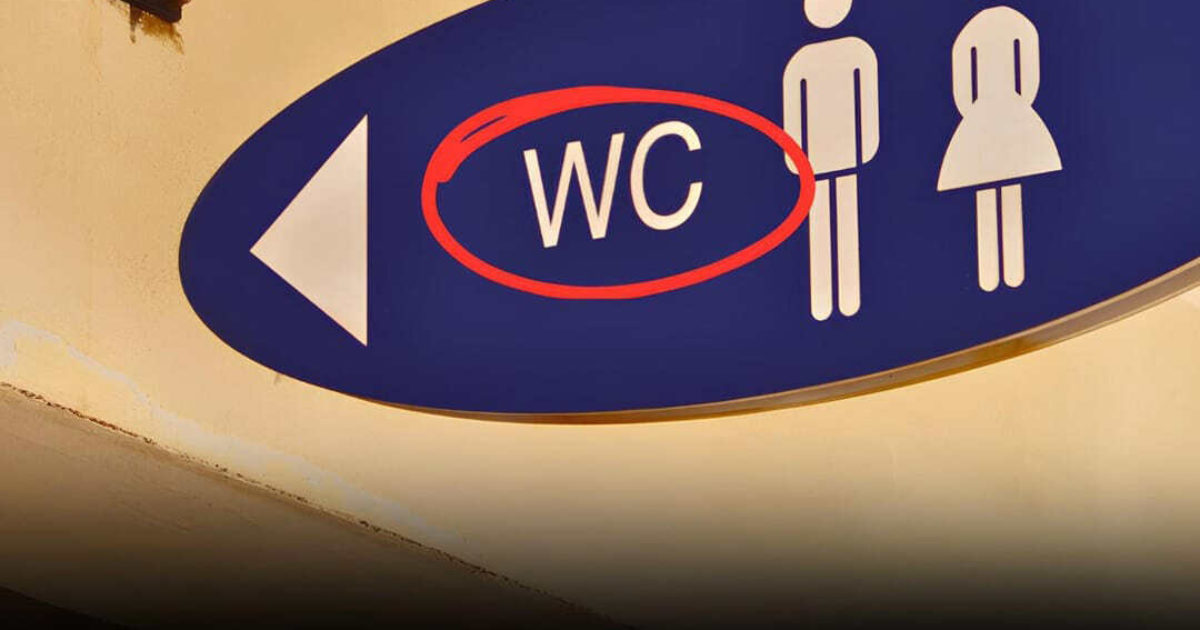 Certaines personnes ne réalisent que maintenant la signification du panneau « WC » sur les toilettes