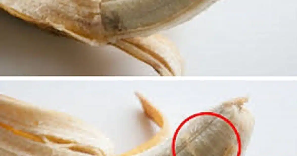 C'est à cela que servent ces petits filaments sur les bananes