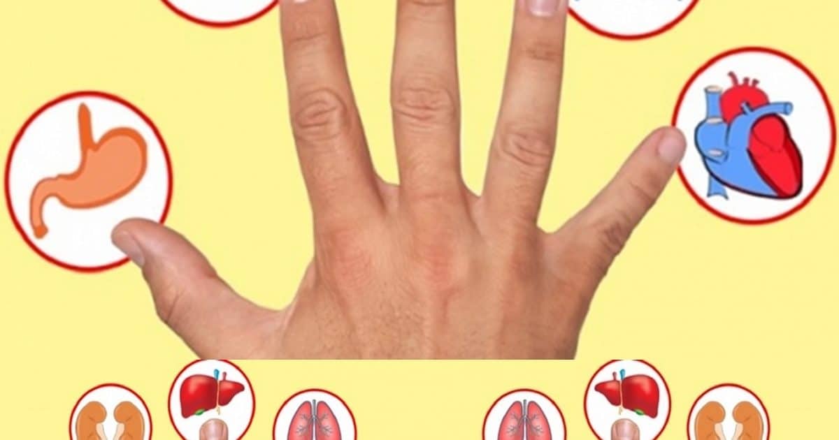 Chaque doigt est lié à un organe : découvrez cette méthode japonaise