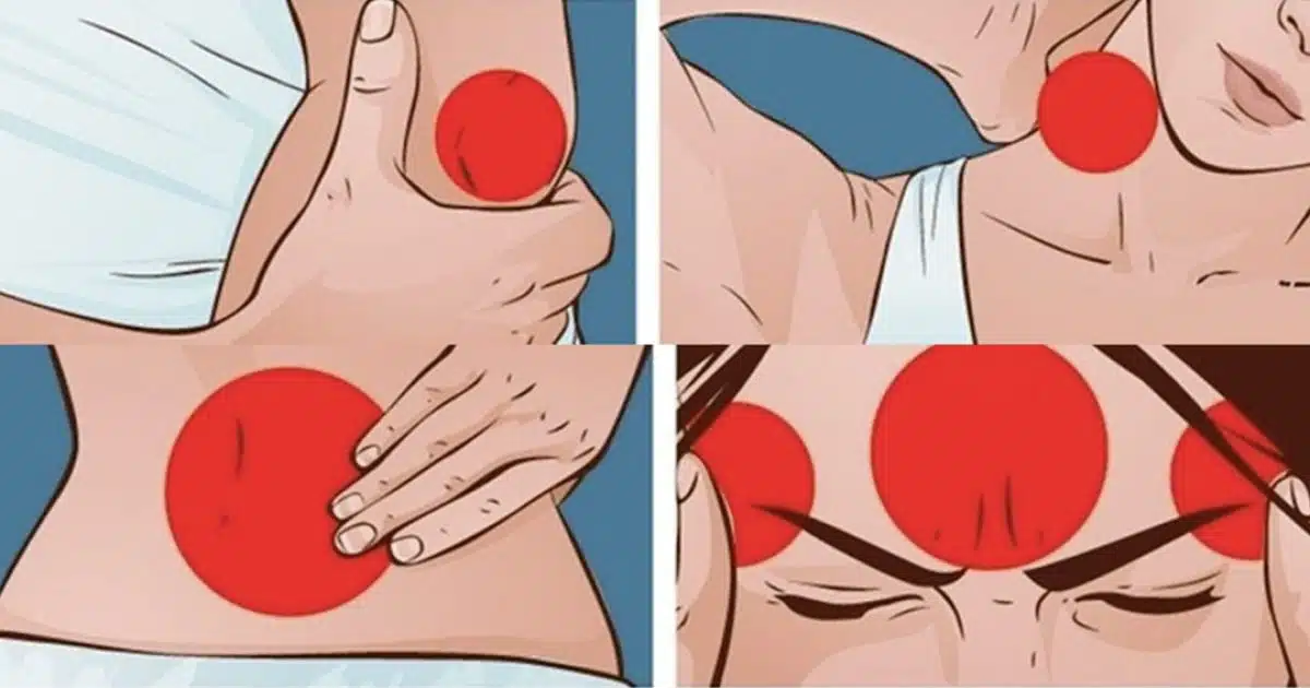"Chaque douleur dans notre corps a une origine nerveuse"