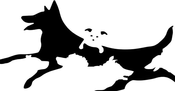 Le test du nombre de chiens 