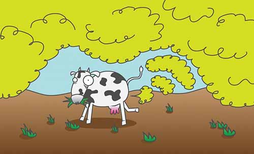 choses-que-vous-ne-savez-pas-a-propos-des-pets-10