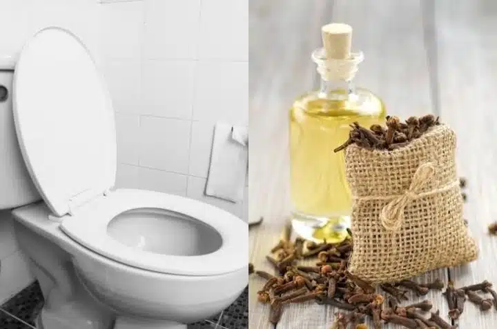 Matériel nécessaire pour préparer un désodorisant aux clous de girofle