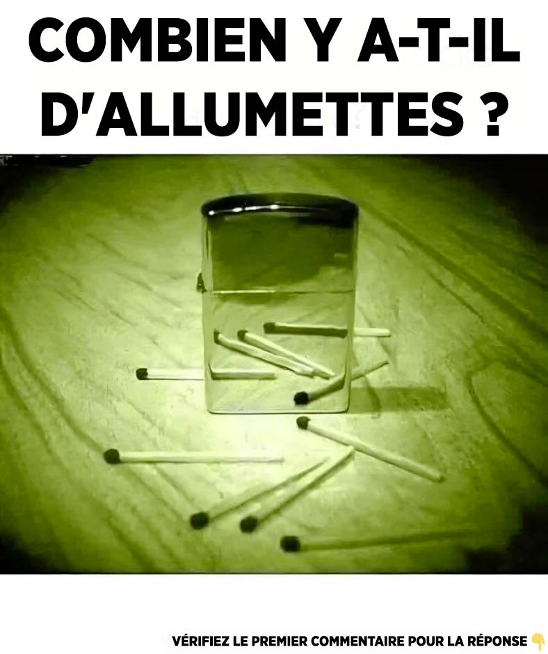 Combien d’allumettes pouvez-vous voir ?