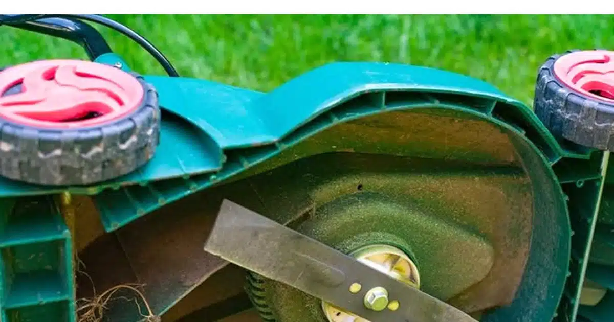 Comment aiguiser les lames d’une tondeuse à gazon ?