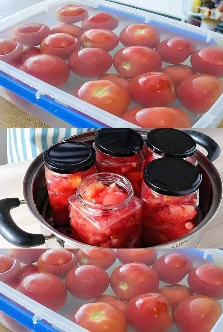 Comment conserver des tomates fraîches pendant 2 ans, sans vinaigre ?