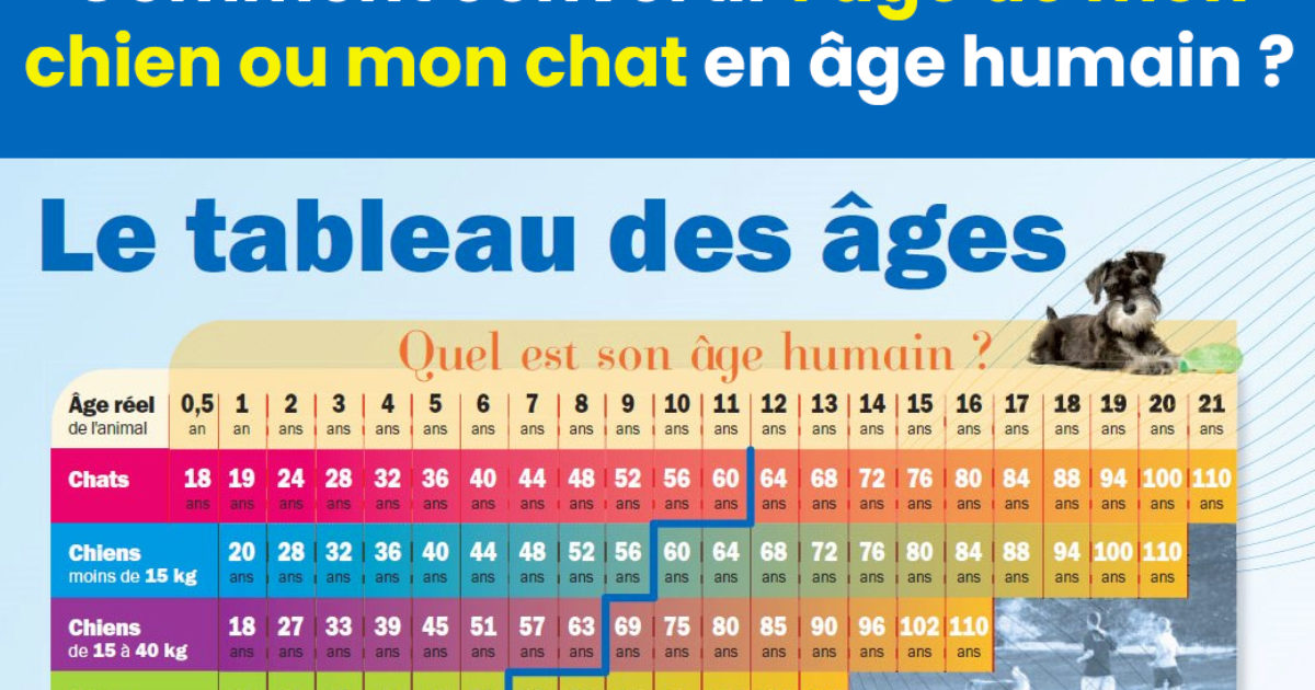 Comment convertir l'âge de mon chat ou de mon chien en années humaines ?