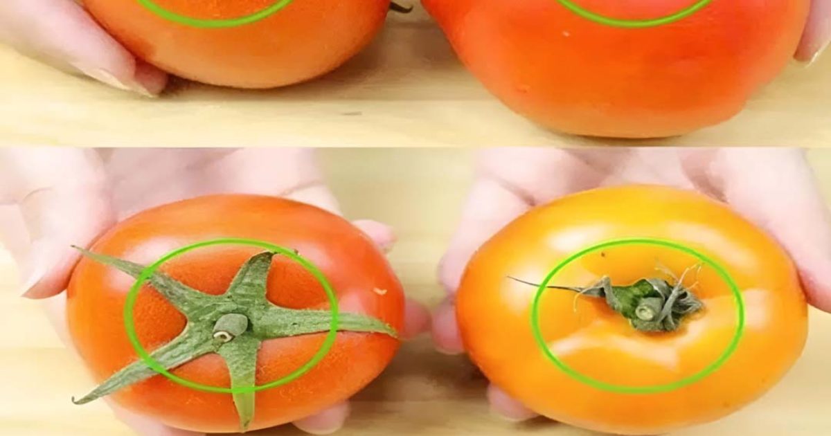 Comment distinguer les tomates mûries naturellement