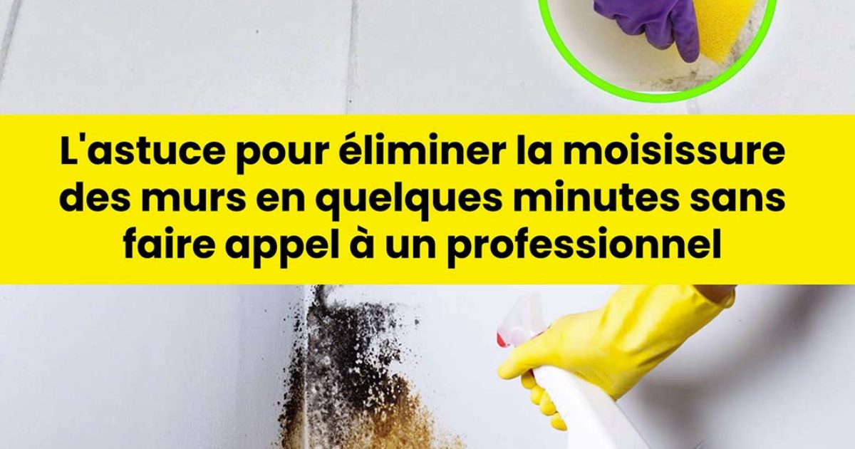 Comment éliminer efficacement la moisissure des murs ?
