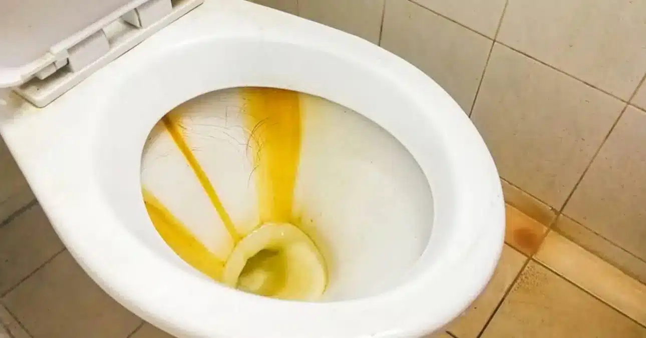 Nettoyage écologique de cuvette de toilettes