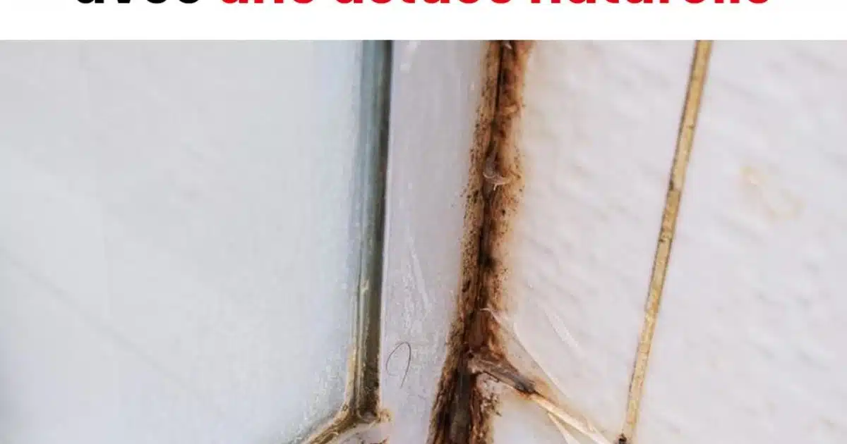 Comment éliminer le silicone moisi dans votre maison grâce à cette solution naturelle ?