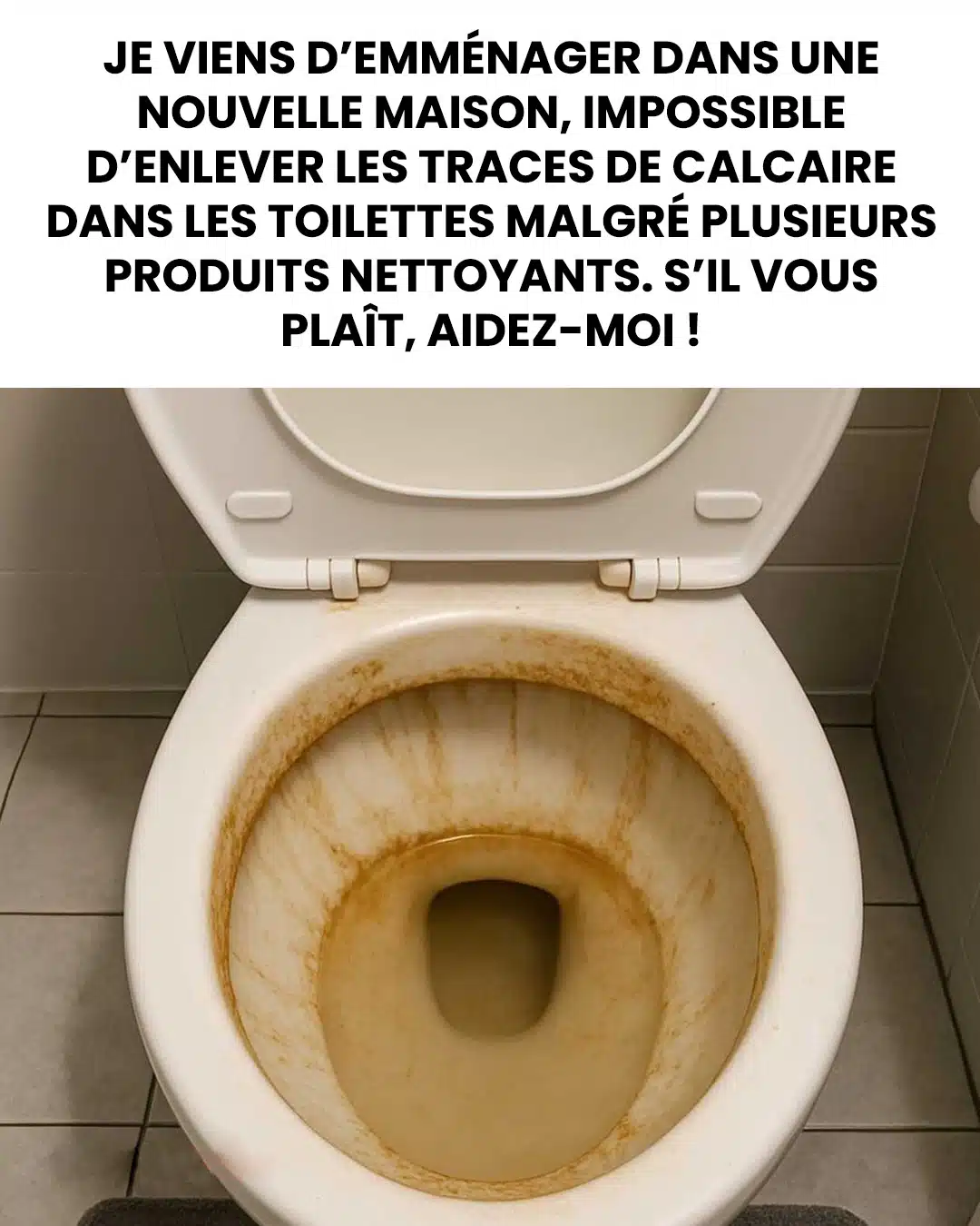 Comment éliminer les traces de calcaire des WC ?