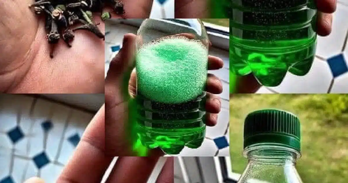 Comment éliminer l'odeur d'urine de la salle de bain et laisser un parfum agréable