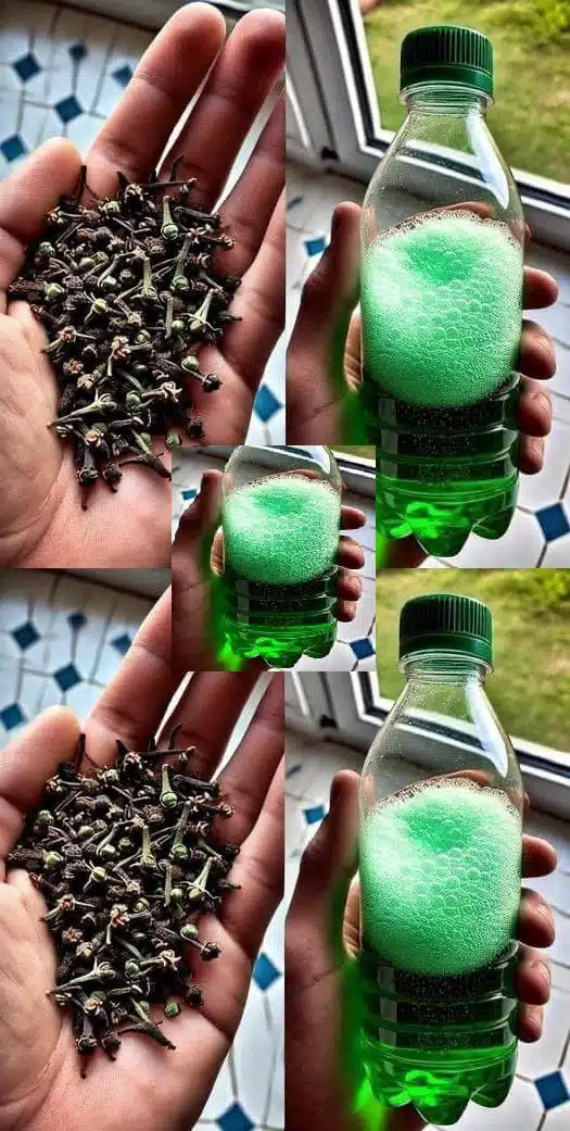 Comment éliminer l'odeur d'urine de la salle de bain et laisser un parfum agréable