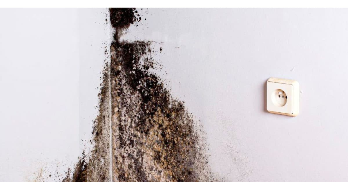 Comment enlever l’humidité à la maison ?