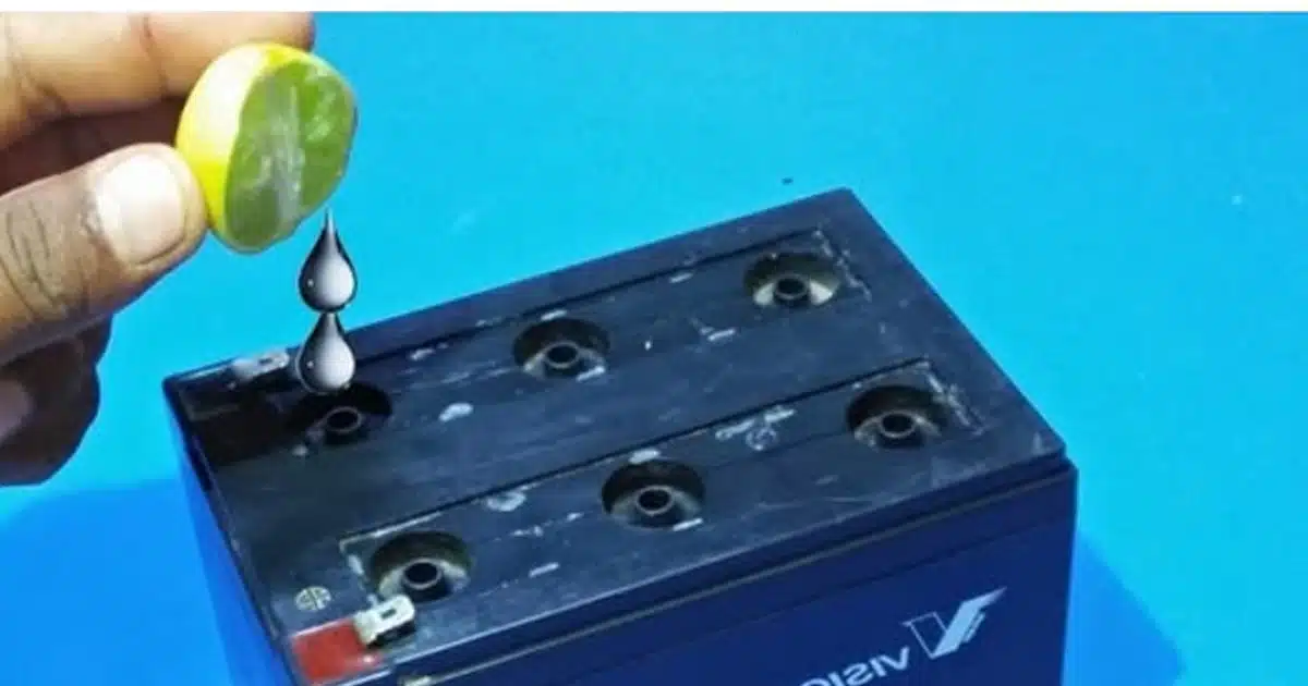 Comment produire de l’électricité avec un simple ingrédient ménager