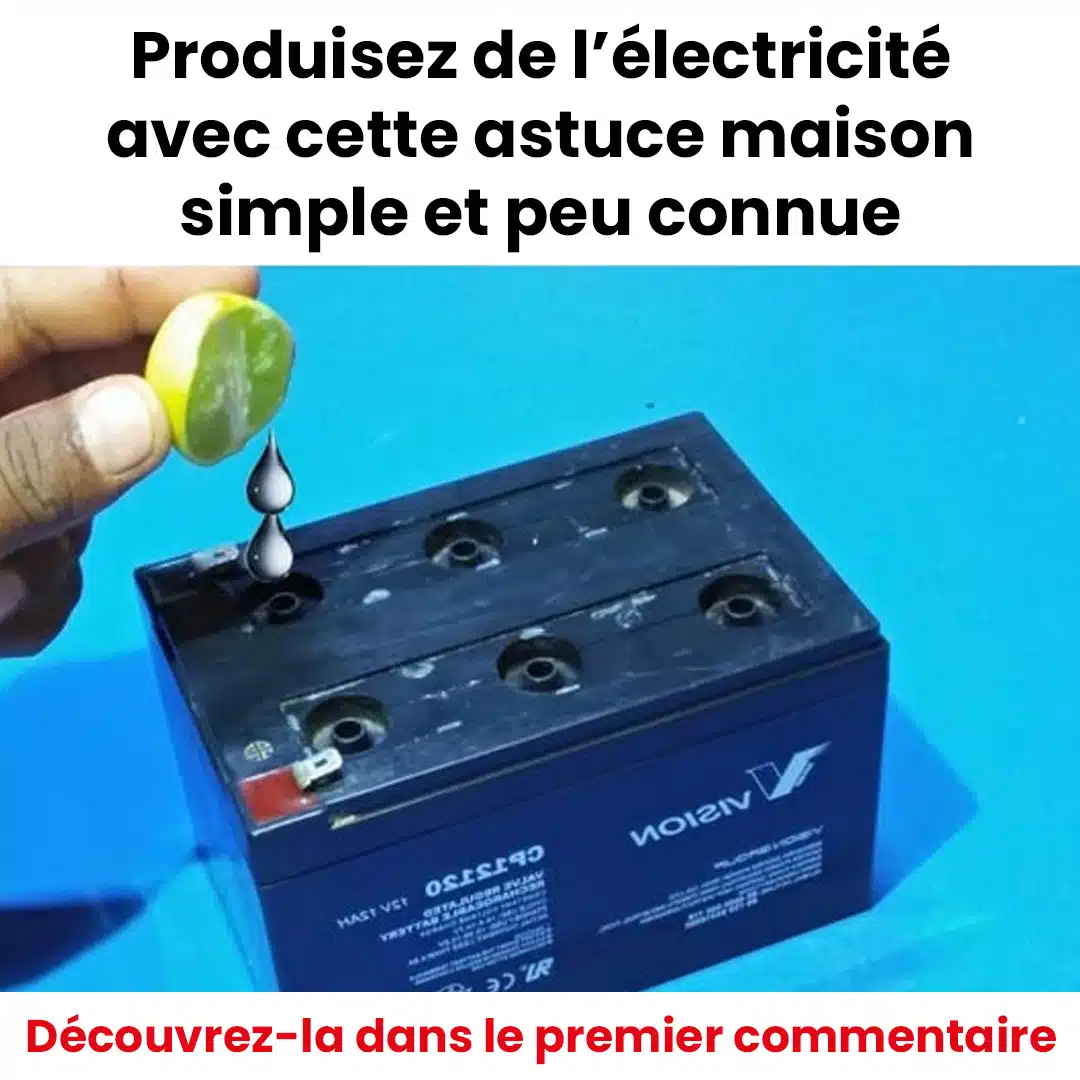 Comment produire de l’électricité avec un simple ingrédient ménager