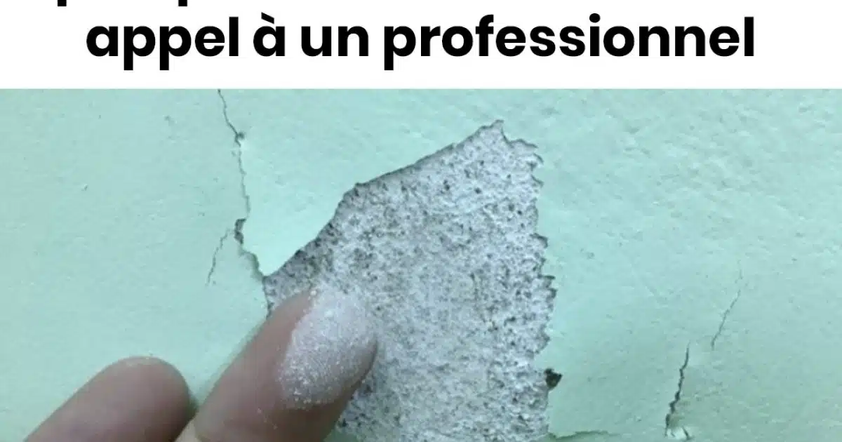 Comment réparer des murs moisis ou écaillés ?