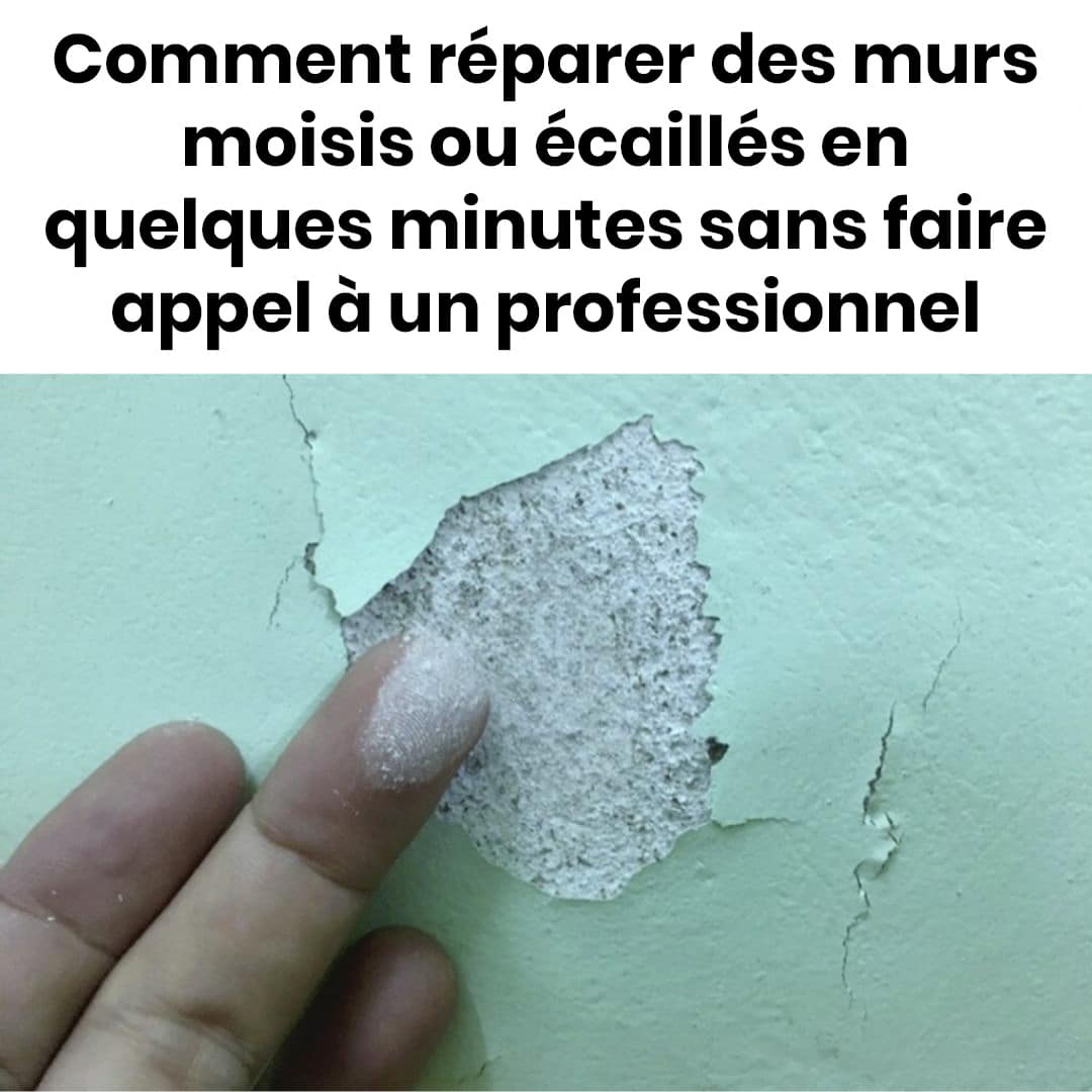 Comment réparer des murs moisis ou écaillés ?