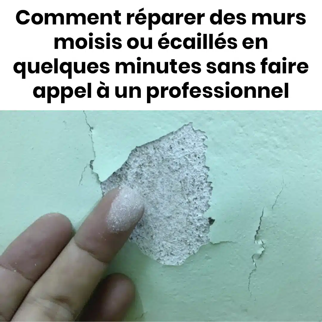 Comment réparer des murs moisis ou écaillés ?