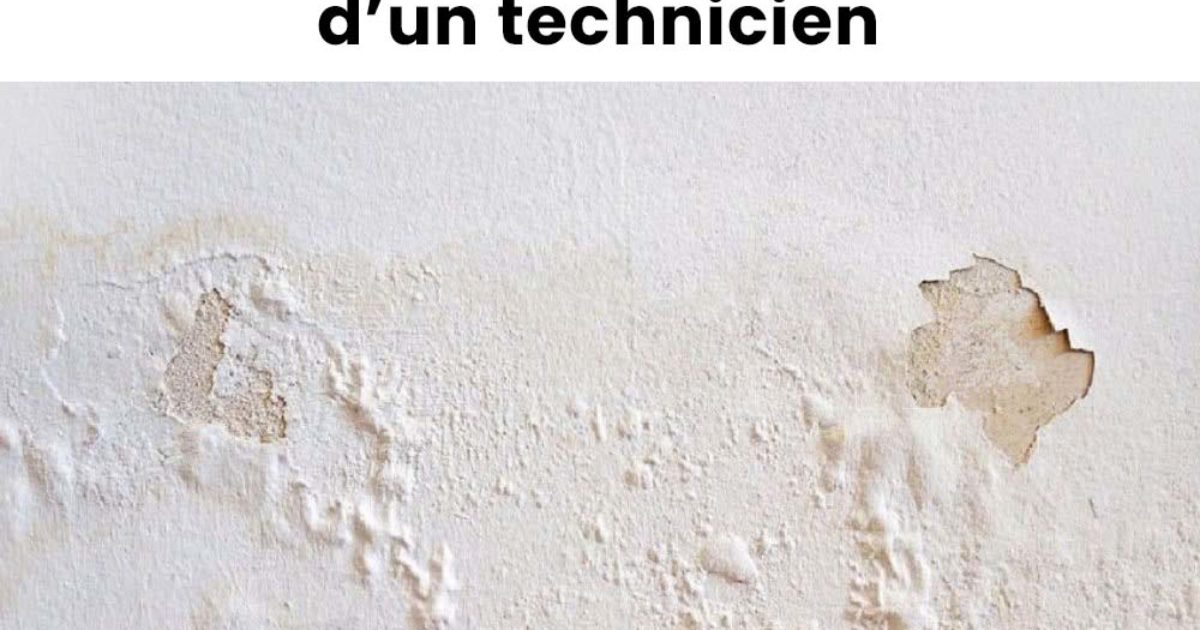 Comment réparer les murs moisis ou écaillés en quelques minutes