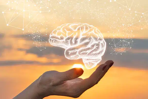 Représentation artistique d'un cerveau illuminé, symbolisant l'activité neuronale