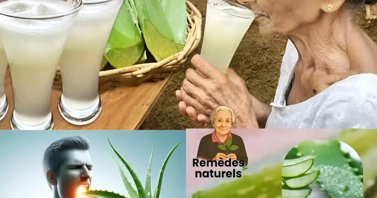 Découvrez 11 raisons de boire de l'eau d'aloe vera tous les jours