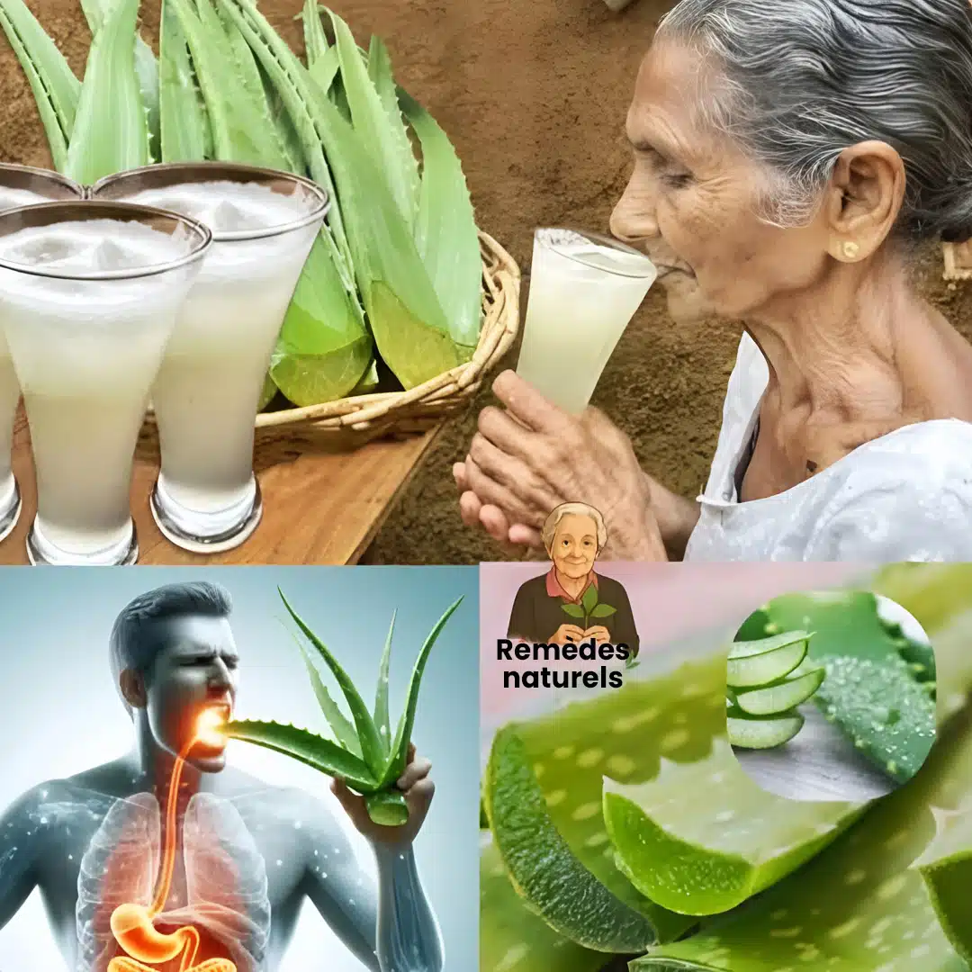 Découvrez 11 raisons de boire de l'eau d'aloe vera tous les jours