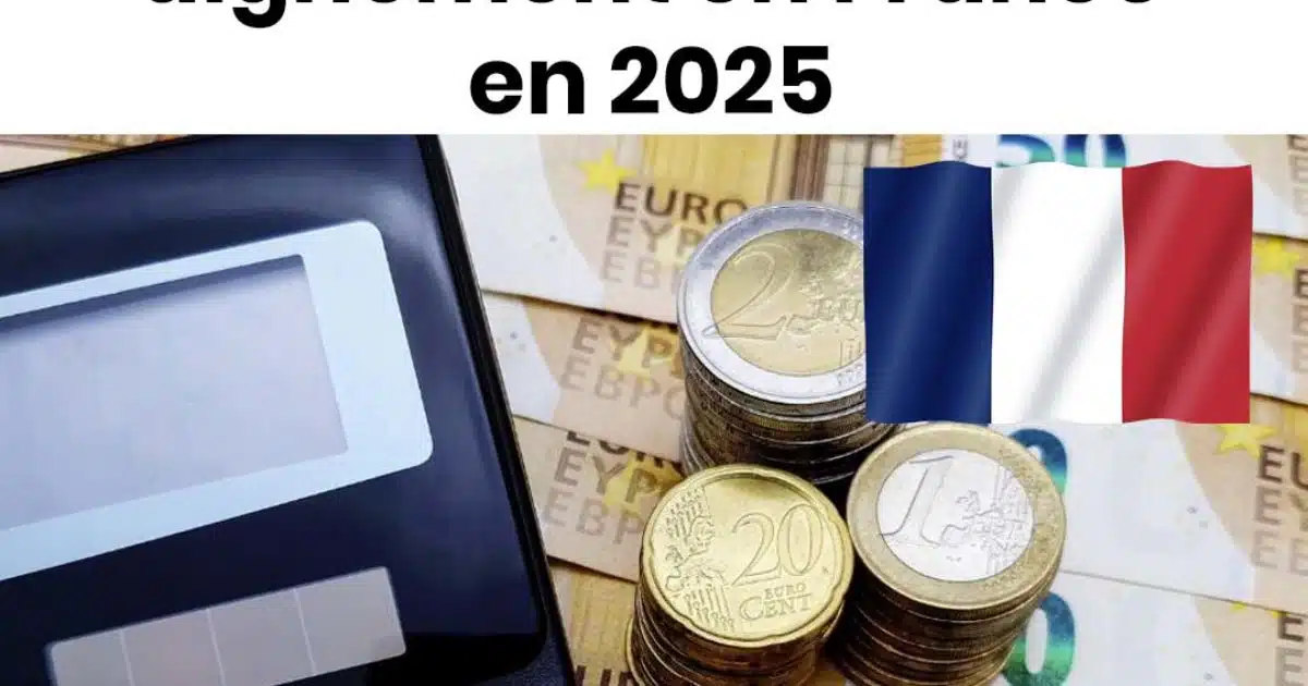 Découvrez le revenu nécessaire pour mener une vie digne en France en 2025