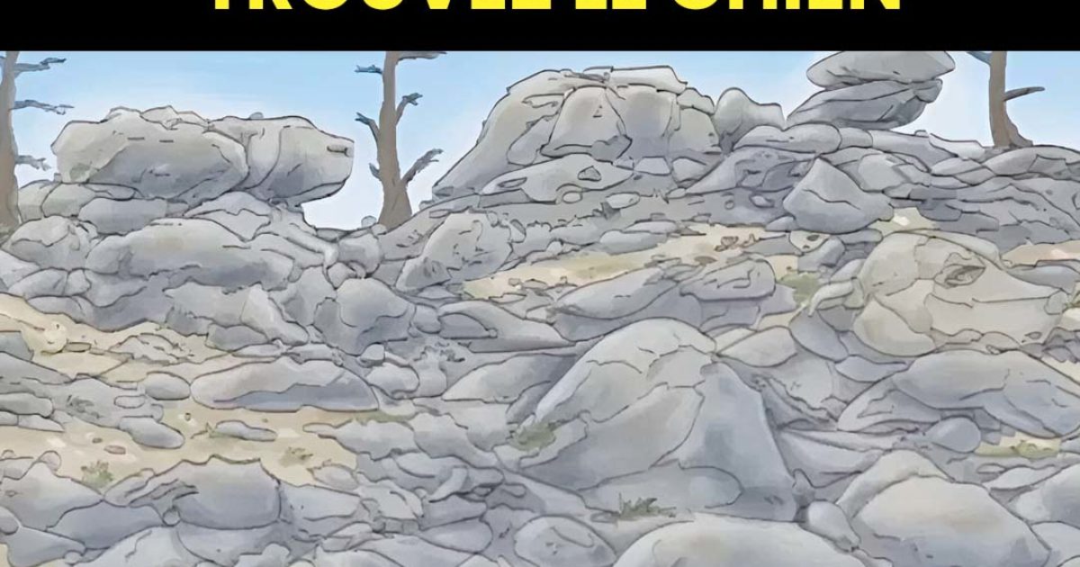 Défi visuel : arriverez-vous à trouver le chien caché sur cette image