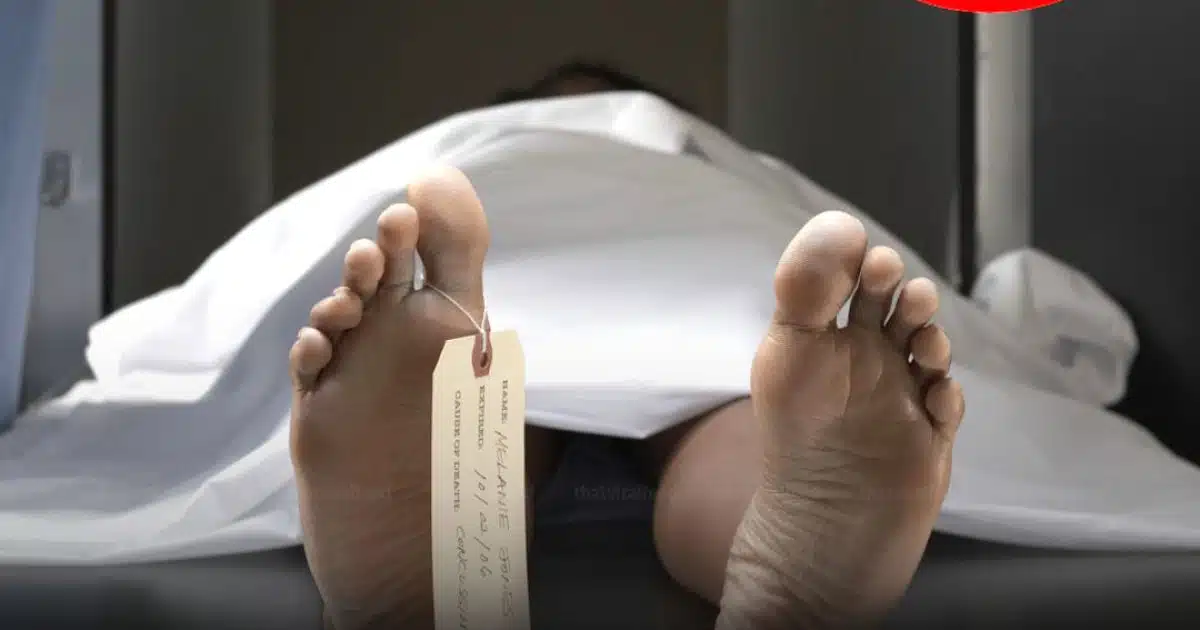 Des scientifiques découvrent un « troisième état » au-delà de la vie et de la mort, une avancée majeure