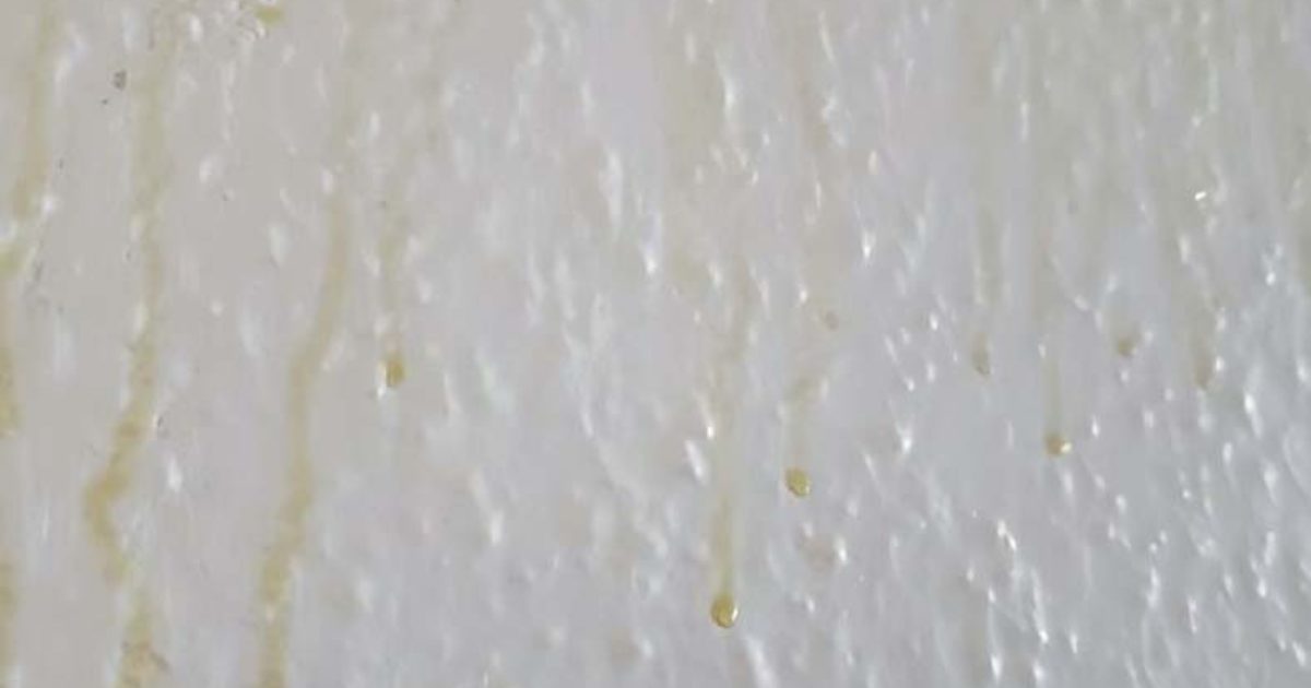 Des taches jaunes coulent sur les murs de votre salle de bain
