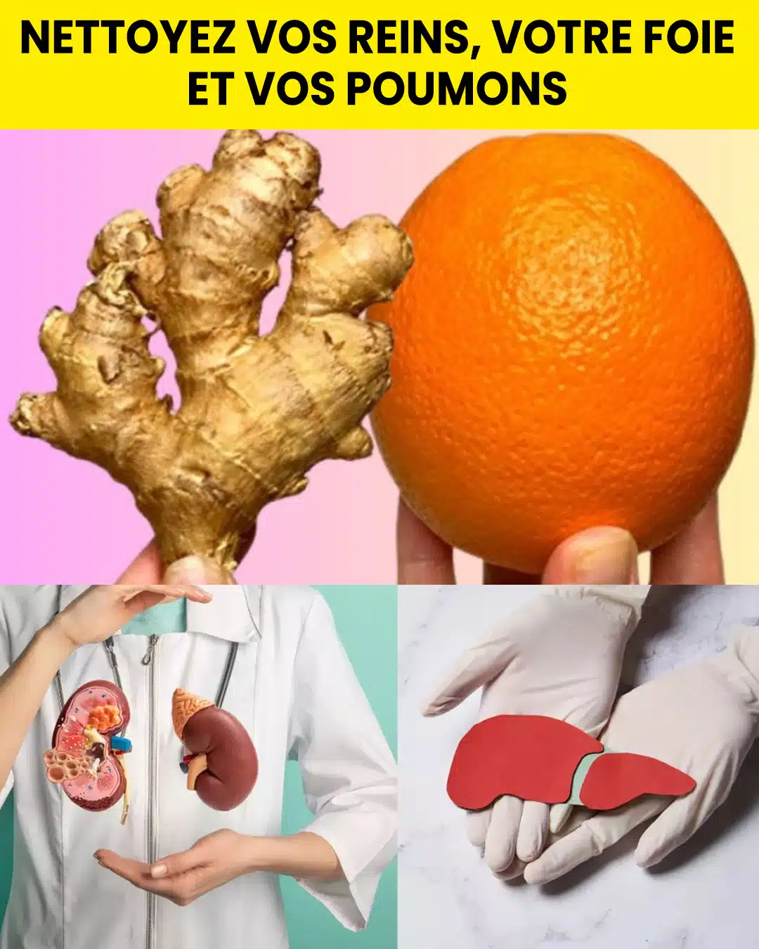 Détoxifiez vos reins, votre foie et vos poumons naturellement