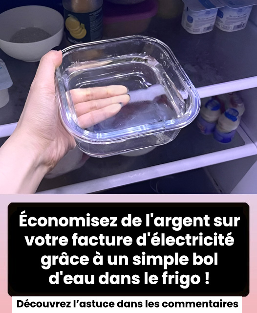 Économisez de l'argent sur votre facture d'électricité grâce à un simple bol d'eau dans le frigo
