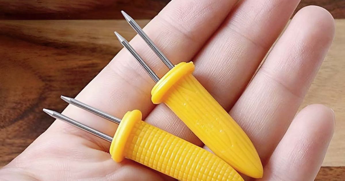 En tombant sur cet objet parmi les ustensiles de cuisine de mon voisin, j’ai été immédiatement intrigué par son apparence