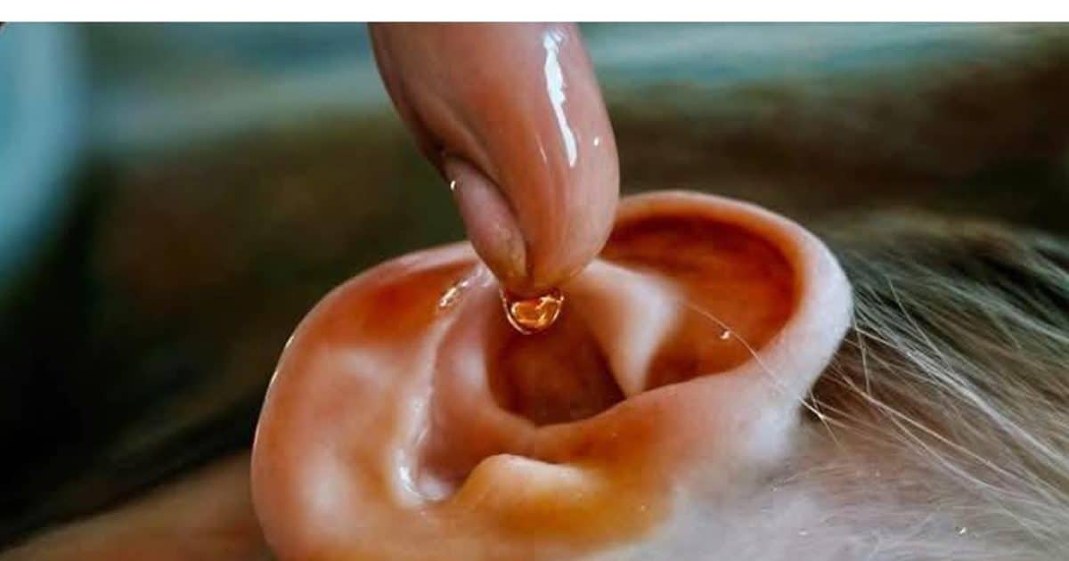 Et si la nature pouvait vous aider à mieux entendre ?