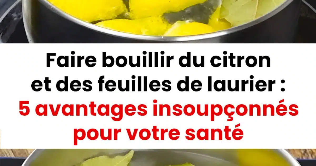 Faire bouillir du citron avec des feuilles de laurier : des bienfaits pour votre santé
