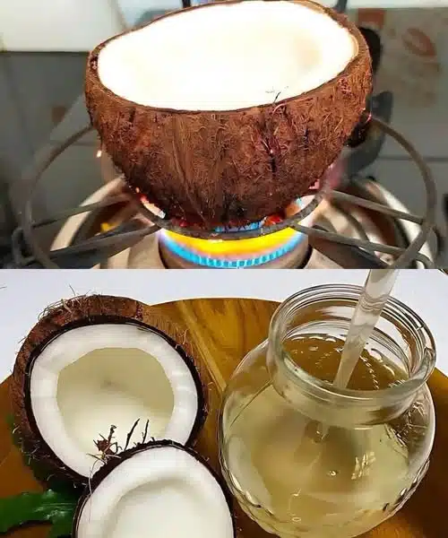 Faite chauffer une noix de coco, le résultat va vous émerveiller