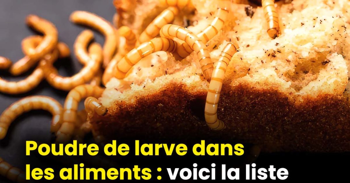 Farine de larves dans les produits alimentaires : découvrez quels aliments peuvent désormais intégrer cet ingrédient