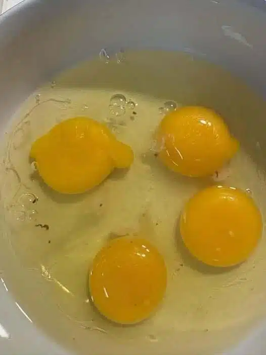 Faut-il manger des œufs avec des taches de sang ?