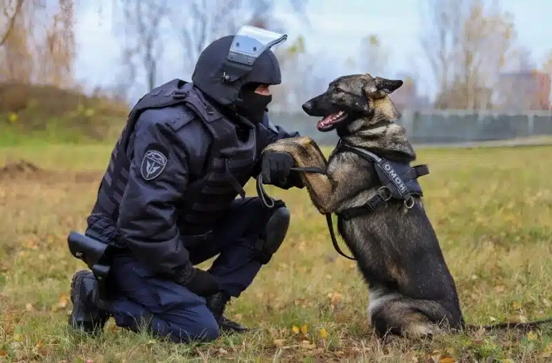 Chien assis près d'un cercueil lors d'une cérémonie