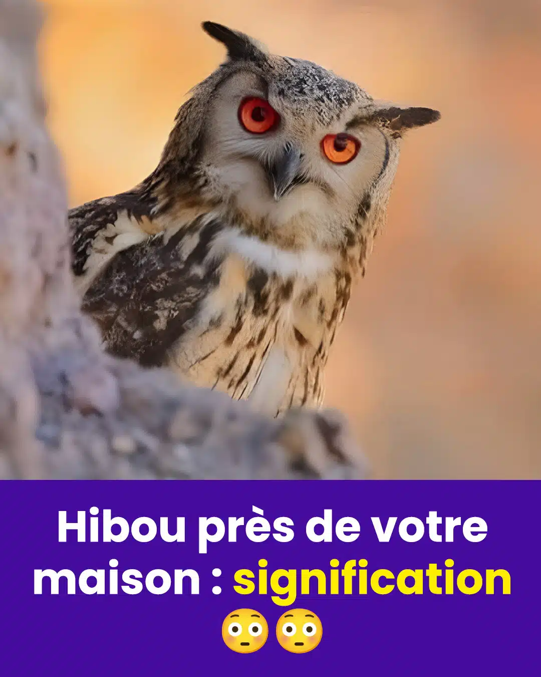 Hibou : chasseur silencieux ou guide spirituel ?